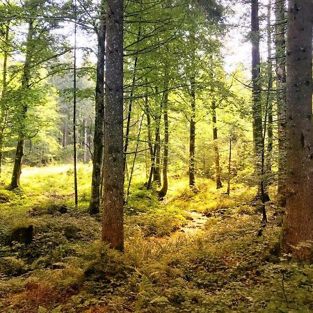 Ferienwohnung - Missen-Wilhams Allgaeu ภายนอก รูปภาพ