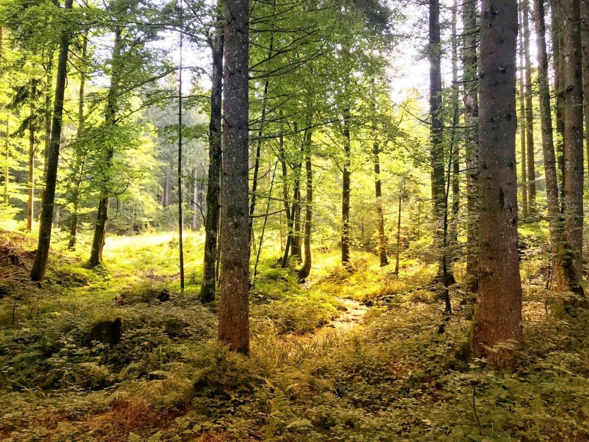 Ferienwohnung - Missen-Wilhams Allgaeu ภายนอก รูปภาพ